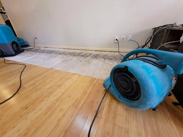 Professional Ceiling Water Damage Repair technician working in Ellendale, MN