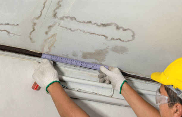Affordable Ceiling Water Damage Repair solutions in Ellendale, MN